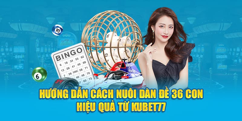 Dàn Đề 36 Con - Hướng Dẫn Cách Nuôi Hiệu Quả Từ Kubet77