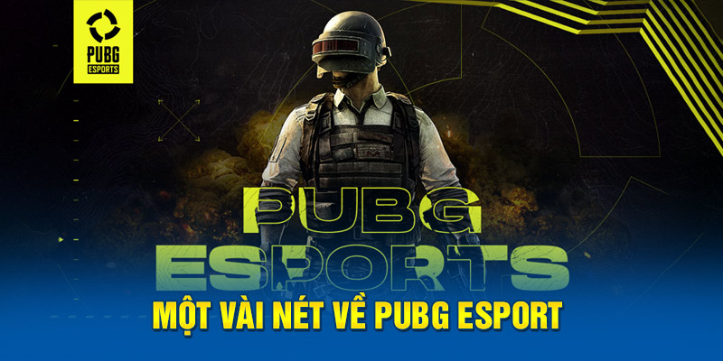 Một vài nét về pubg esport